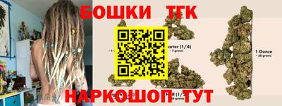 spice Сланцы