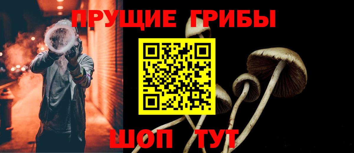 Псилоцибиновые грибы мицелий  Вход с VPN  Псилоцибиновые грибы Psilocybe  Южно-Сахалинск 